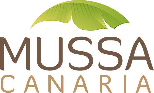 Cosmética Natural Vegana Online de Canarias | MUSSA CANARIA